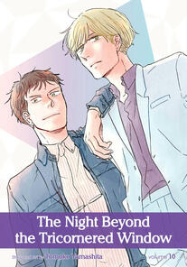 The Night Beyond the Tricornered Window by Yamashita Tomoko completed